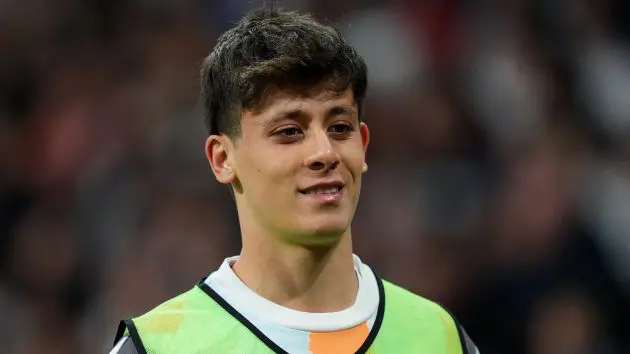 Arda Gueler
